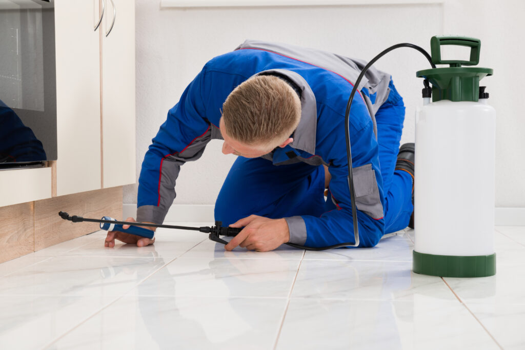 Bowling Green Ant Control Xperts