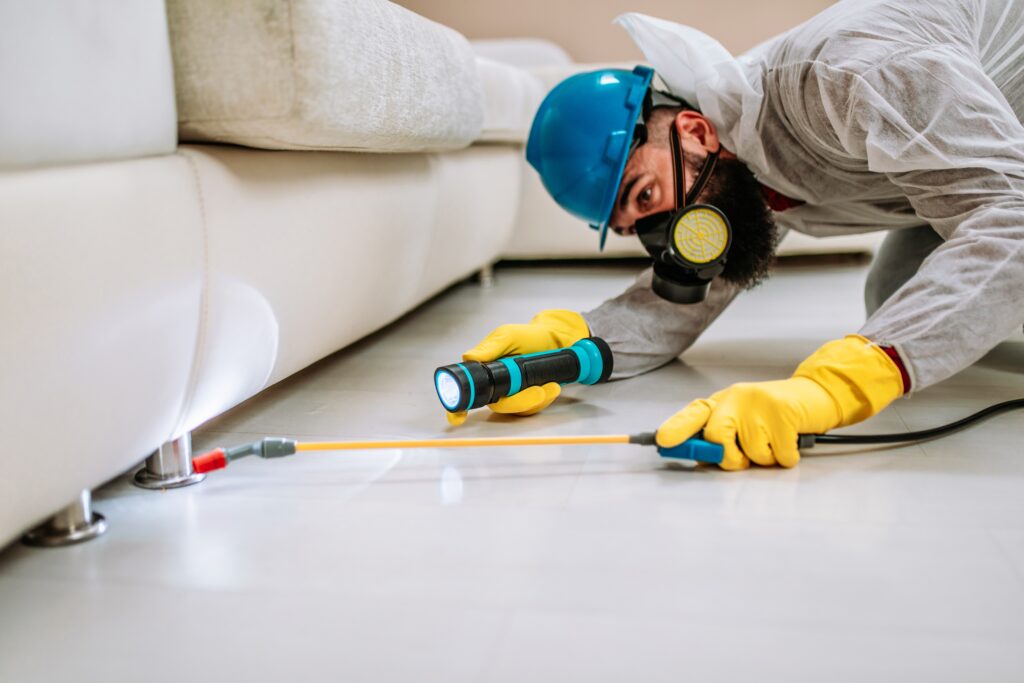 Bowling Green Termite Control
